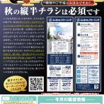 チラシはクーポン系がいいですね！！